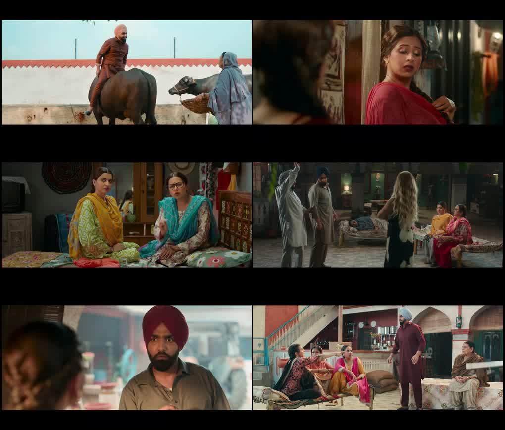 Download Saunkan Saunkanay 2 (2025) Zee5 WEB-DL {Punjabi DD5.1} Full Movie 480p | 720p | 1080p