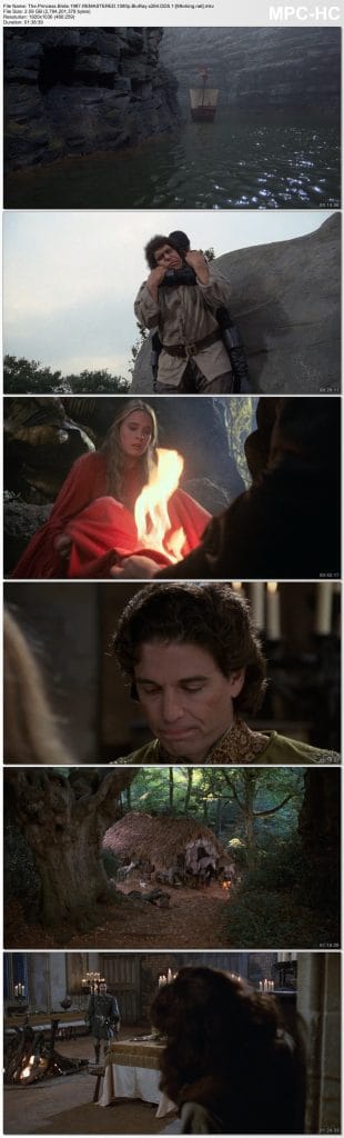 Download The Princess Bride (1987) English Full Movie BluRay 480p | 720p